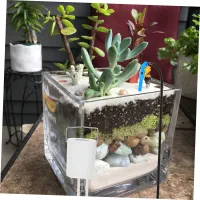 Automatic Plant Watering Drip System thumbnail 6
