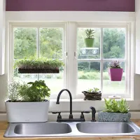 Acrylic Window Plant Shelf thumbnail 1