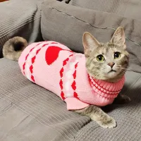 Sphynx Cat Winter Sweater Pullover thumbnail 4