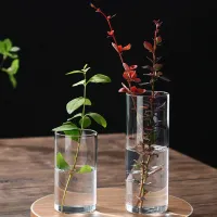 Glass Cylinder Vases Set thumbnail 3