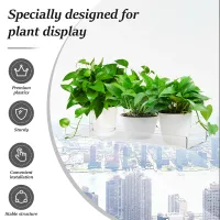 Acrylic Window Plant Shelves thumbnail 3