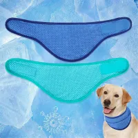 Dog Cooling Bandana 2 Pack thumbnail 5