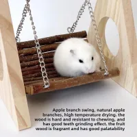 Apple Wood Hamster Swing Chew Toy thumbnail 6