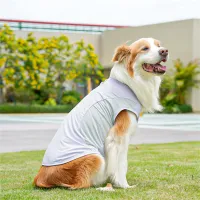 Ice Silk Cooling Puppy Vest thumbnail 4