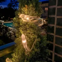 Solar Bird String Lights thumbnail 6