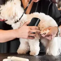 Professional Pet Deshedding Brush thumbnail 5