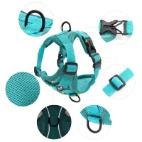 No-Pull Dog Harness & Leash Set thumbnail 3