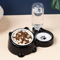 2-in-1 Tilted Elevated Pet Water & Food Bowl thumbnail 2