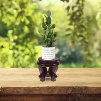 Wooden Plant Pedestal Stand thumbnail 4