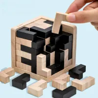 Impossible Wooden IQ Puzzle Game thumbnail 5
