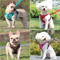 No-Pull Dog Harness & Leash Set thumbnail 2