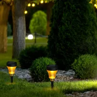 Solar Pathway Lights (2-Pack) thumbnail 6