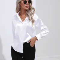 Elegant Satin Office Blouse Long Sleeve thumbnail 5