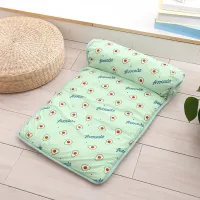 Cooling Pet Mat for Dogs & Cats thumbnail 6