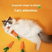 Cat Teething Sound Carrot Toy thumbnail 2