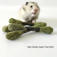 Golden Bear Hamster Foraging Bite Toy thumbnail 3