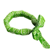Pet Cooling Scarf Ice Collar thumbnail 4