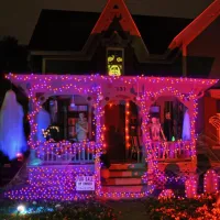 Purple Orange Halloween LED Fairy Lights thumbnail 5