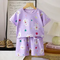 2PCS Kids Summer Cotton T-Shirt & Shorts Set thumbnail 4