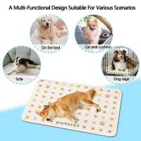 Pet Cooling Mat - Washable Ice Pad thumbnail 5
