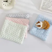 Small Pet Cooling Pad - Ice Silk Bed Mat thumbnail 2