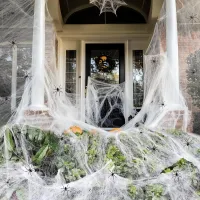 Halloween Spider Web Decor Set thumbnail 1