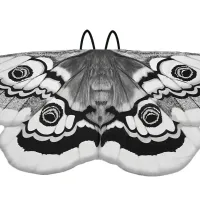 Girls Moth Butterfly Wings Cape Costume thumbnail 6