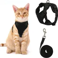 Escape Proof Cat Harness & Leash Set thumbnail 1