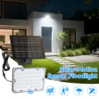 Solar Motion Sensor Floodlight thumbnail 1