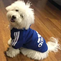 Winter Sport Hoodie Dog Coat thumbnail 5
