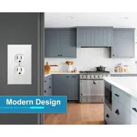 Duplex Outlet & Switch Wall Plate thumbnail 3