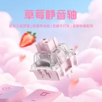 Outemu Silent Strawberry 32g Switches thumbnail 1