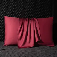 Mulberry Silk Pillowcase 50x70/65x65 thumbnail 6