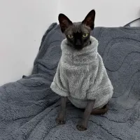 Arctic Velvet Cat Sweater thumbnail 1