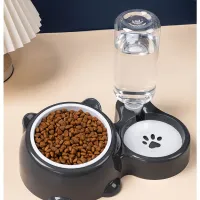 2-in-1 Tilted Elevated Pet Water & Food Bowl thumbnail 5