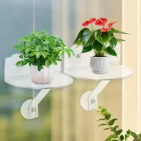 Acrylic Window Plant Shelf thumbnail 4