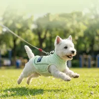 Dog Cooling Vest Harness thumbnail 2
