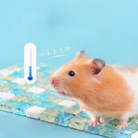 Pet Cooling Mat for Small Animals thumbnail 4