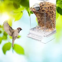Automatic Parrot Feeder Drinker thumbnail 5