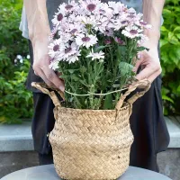 Large Hanging Plant Stand with Iron Hooks thumbnail 5