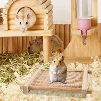 Bamboo Cooling Pet Mat thumbnail 3