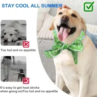 Cooling Scarf Ice Collar for Pets thumbnail 3