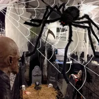 Giant Halloween Spider Yard Decor thumbnail 6