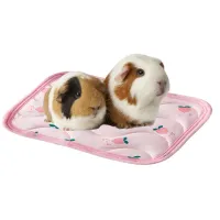 Pet Cooling Mat for Summer thumbnail 2