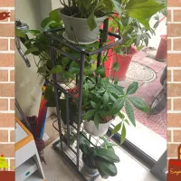 Iron Flower Stand with Pots Tray thumbnail 2