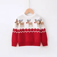 Family Christmas Elk Print Sweater thumbnail 4