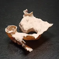 3D Printed Aquarium Tunnel & Cave Decor thumbnail 6