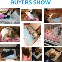 Pet Cooling Pad Bed - Ice Silk Mat thumbnail 5