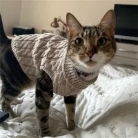 Pet Knitted Sweater for Cats & Small Dogs thumbnail 4