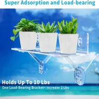 15" Suction Cup Plant Window Shelf thumbnail 4